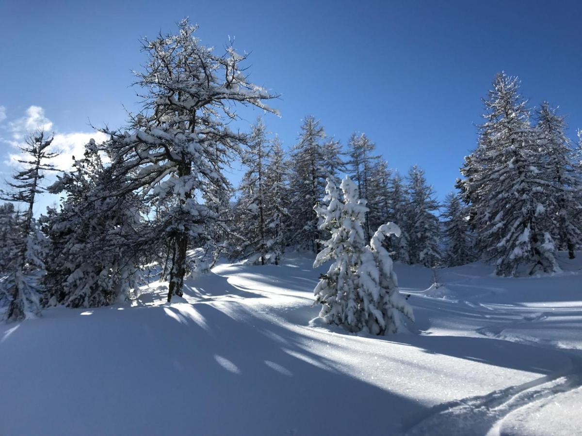 L'Etesy, Pied Des Pistes Et Spa モンジェネヴル エクステリア 写真
