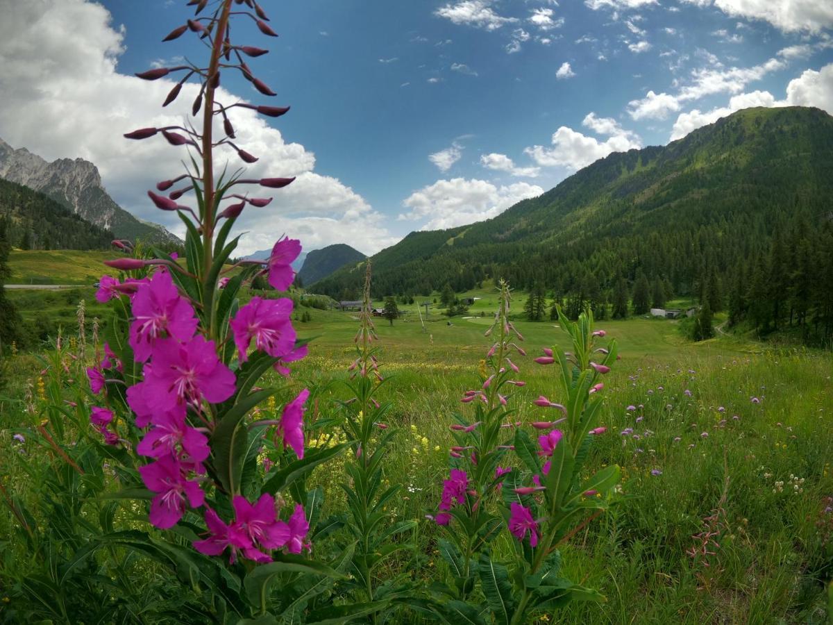 L'Etesy, Pied Des Pistes Et Spa モンジェネヴル エクステリア 写真