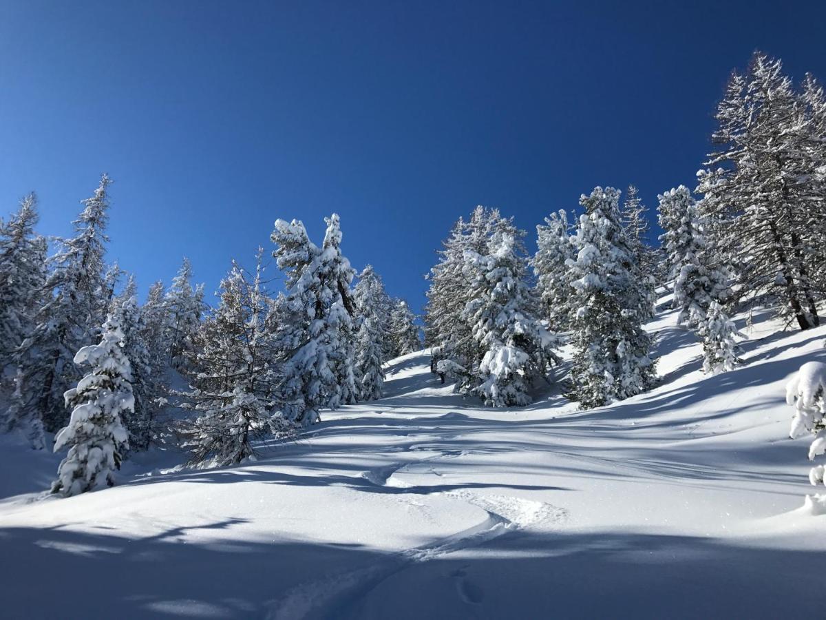 L'Etesy, Pied Des Pistes Et Spa モンジェネヴル エクステリア 写真